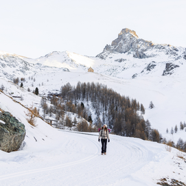 Team Creators Nordic Alpes du Sud Team Creators Nordic Alpes du Sud